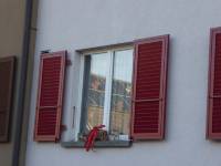 Alu-Fensterlaeden2